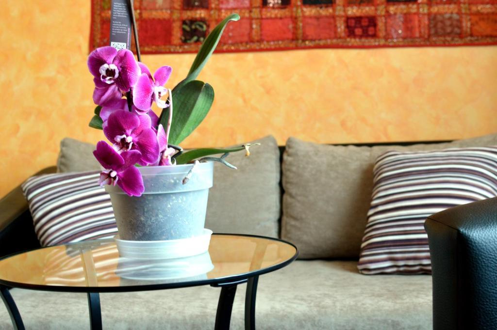Flamingo Vendeghaz Bed & Breakfast Eğri Dış mekan fotoğraf
